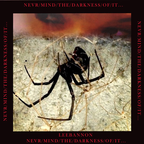 Lee Bannon: "never/mind/the/darkness/of/it" (Vinyl LP)